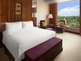 Deluxe Double room with pool view