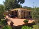Deluxe Bungalow
