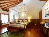 Deluxe Double room with balcony and with garden view