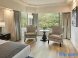 Single Suite