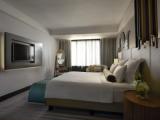 Deluxe Double Club Suite
