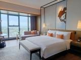 Standard Double Club room with city view
