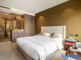 Standard Double room with garden view