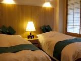 Standard Double room with mountain view