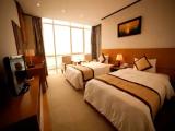 Deluxe Double room with city view