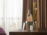 Double Junior Suite