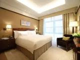 Classic Double Suite