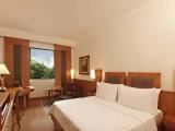 Deluxe room with garden view