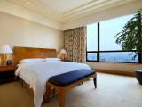 Executive Single Suite