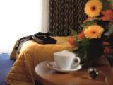 Superior Double room with park view