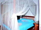 Standard Double room with sea view
