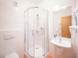 Deluxe Double room with garden view