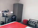 Comfort Triple room with garden view