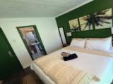 Standard Double Basement room