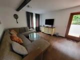 Comfort Suite