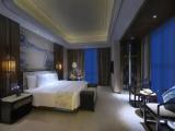 Executive Double Suite with city view