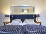 Deluxe Double room with garden view