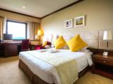 Standard Double room with city view