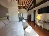Standard Double room with garden view