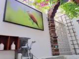 Standard Double room with garden view