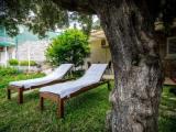 Standard Double room with garden view