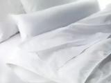 1 Bedroom Single Junior Suite