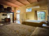 Luxury Suite