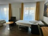 Standard room with mountain view