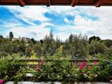 Deluxe Double room with garden view