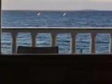 Standard Single room with balcony and with pool view