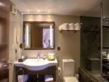 1 Bedroom Junior Suite