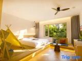 6 Bedrooms Villa with courtyard view