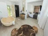 Deluxe Double room with garden view