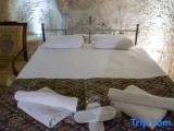1 Bedroom Premium Basement Suite