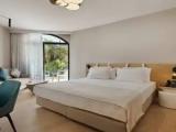 Deluxe Double room with balcony and with mountain view