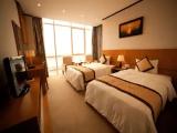 Superior Double room with city view