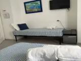 Standard Double room with garden view