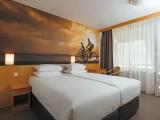 Double room with mountain view