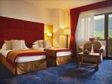 Deluxe room with mountain view
