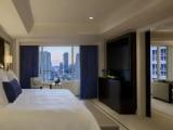 Deluxe Suite with city view