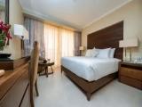 Standard Double room with balcony and with lake view