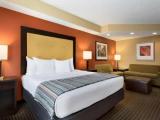1 Bedroom Single Suite
