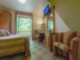Comfort Double room with garden view