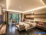 Double Apartment