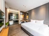 1 Bedroom Suite