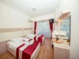 Standard Triple room with balcony and with mountain view