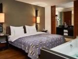 Standard Double room with balcony and with city view