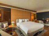 Premier Double Suite