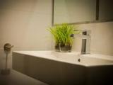 Superior Double room with garden view