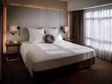 Executive Lounge Access Double Suite